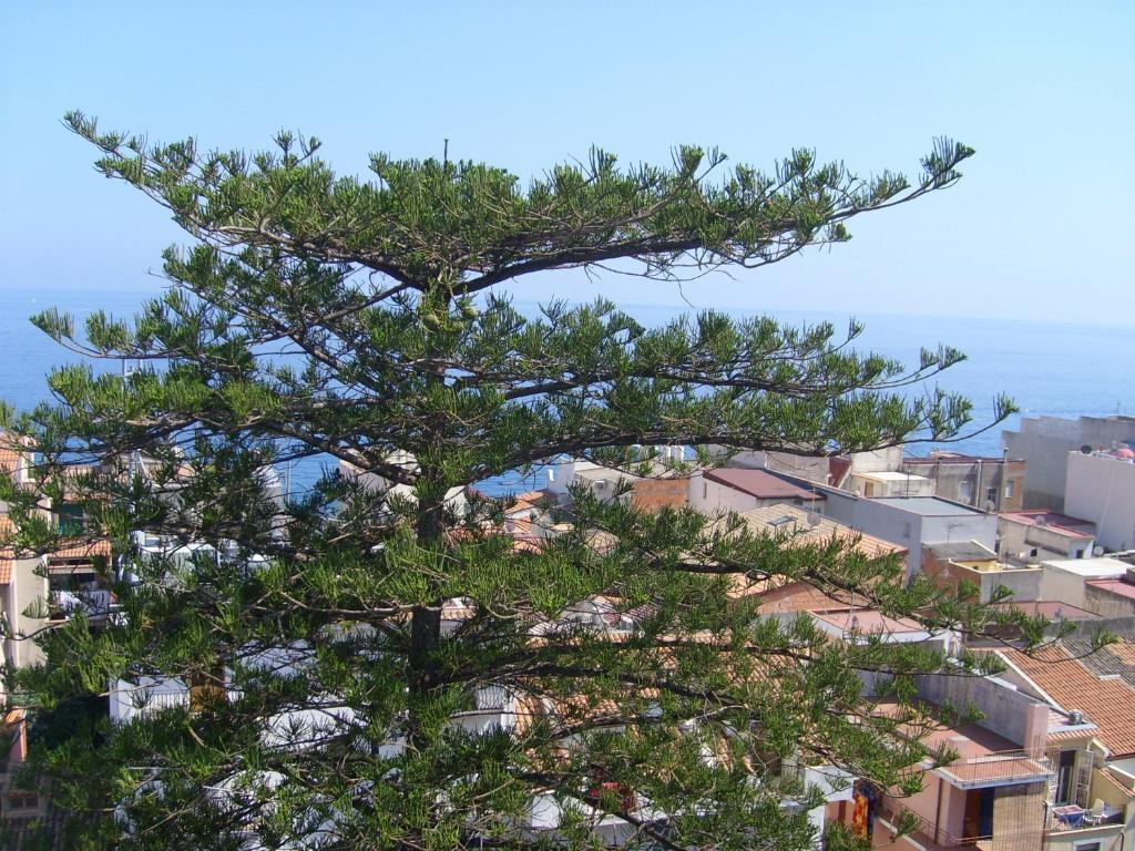 Hotel Delle Palme Летоянни Экстерьер фото